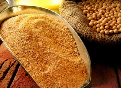 Organic Full Fat Soybean Meal